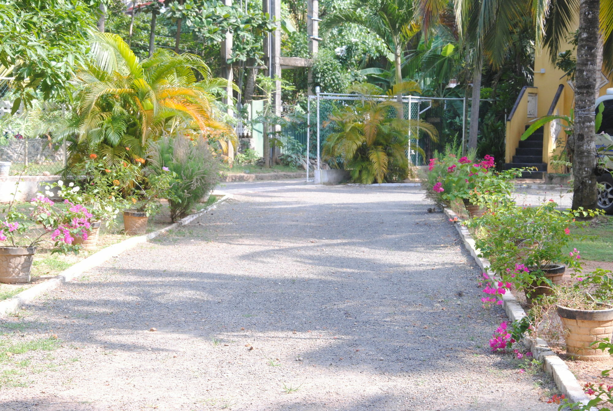 Ever Green Mirissa Exterior foto